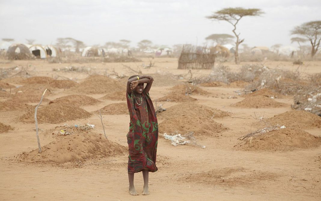 Migrante Climatico