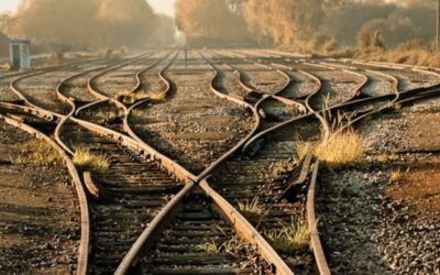 IL DESTINO CONTRO LA LIBERTÀ: SIAMO DAVVERO LIBERI NELLE STORIE CHE RACCONTIAMO? 